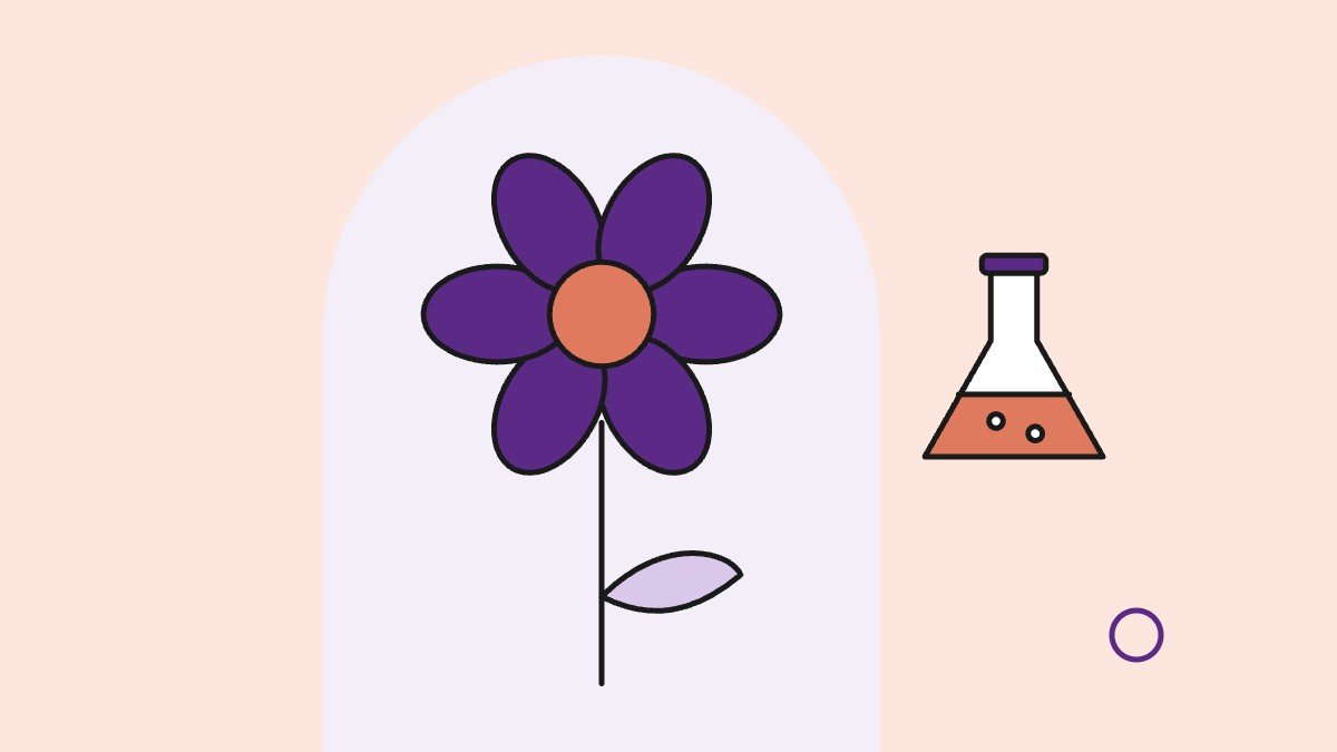 Illustration for: Nut Grass Essential Oil: Hair Removal, Benefits and Uses